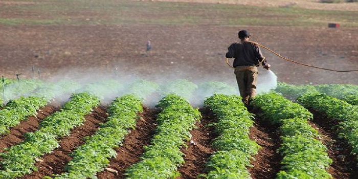 الحشرية البيئة في المبيدات تلوث المبيدات الحشرية